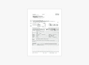 住宅瑕疵担保責任保険（10年）