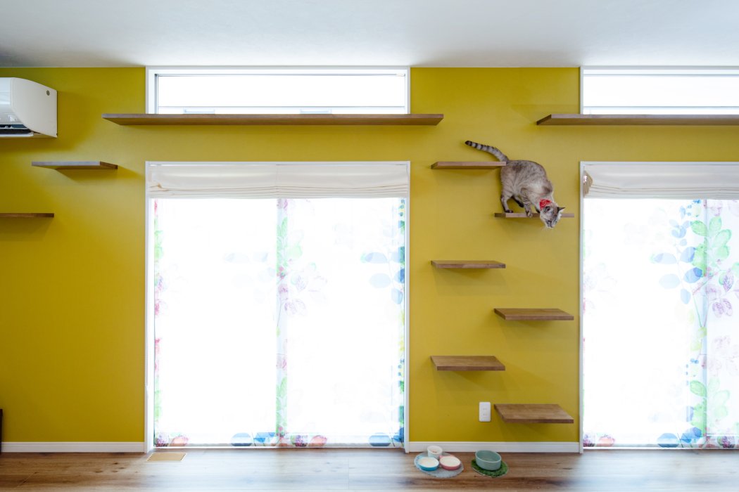 キャットウォーク